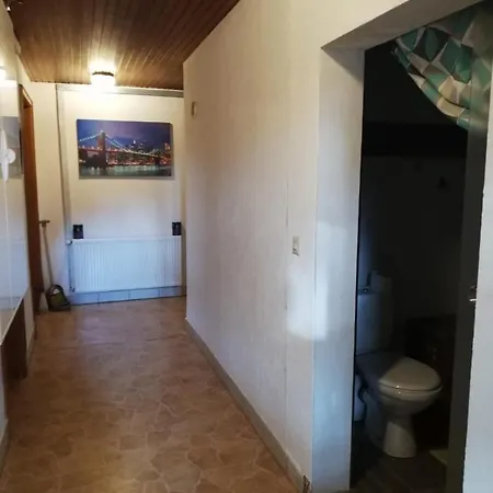 Pension Dingolshausen Guest house