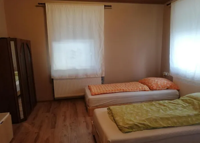 Pension Dingolshausen بيت ضيافة *