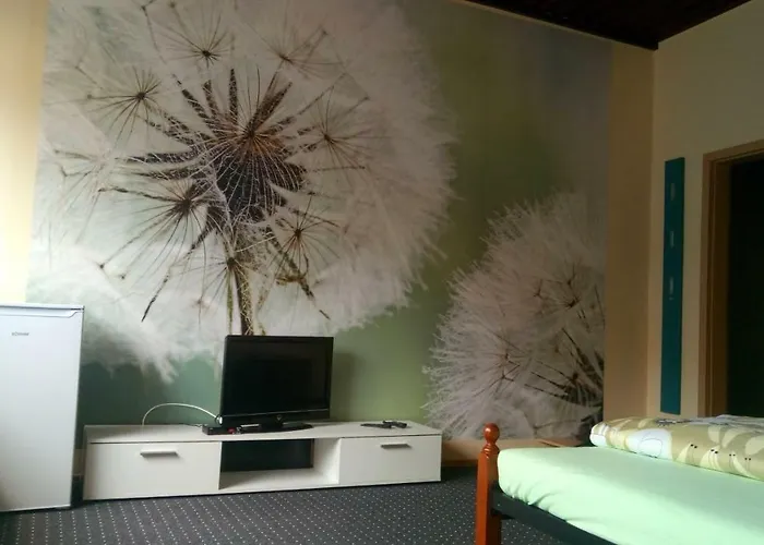 Pension Dingolshausen بيت ضيافة Dingolshausen