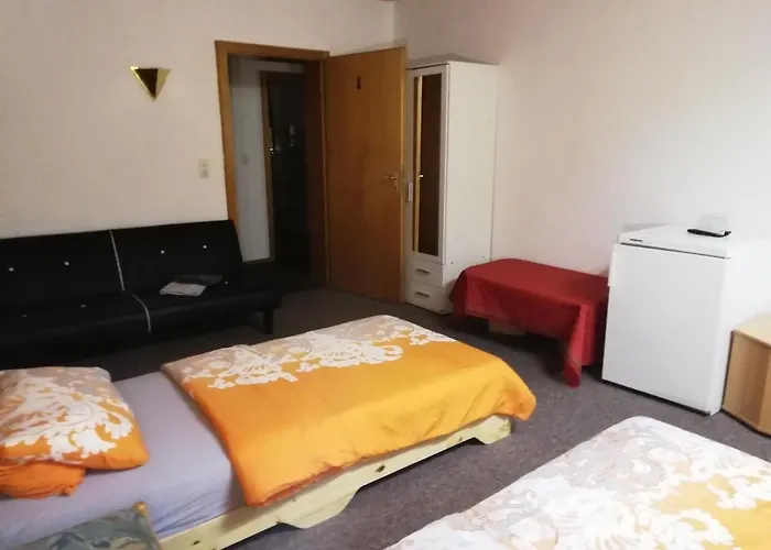 بيت ضيافة Pension Dingolshausen *